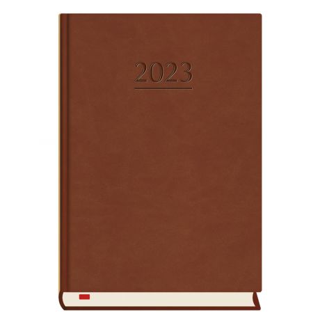 2026 Kalendarz MiP Powszechny B6, Brązowy ciemny